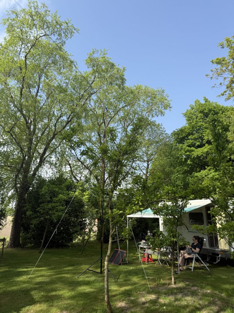 Antenna wire in the trees next to the camper
