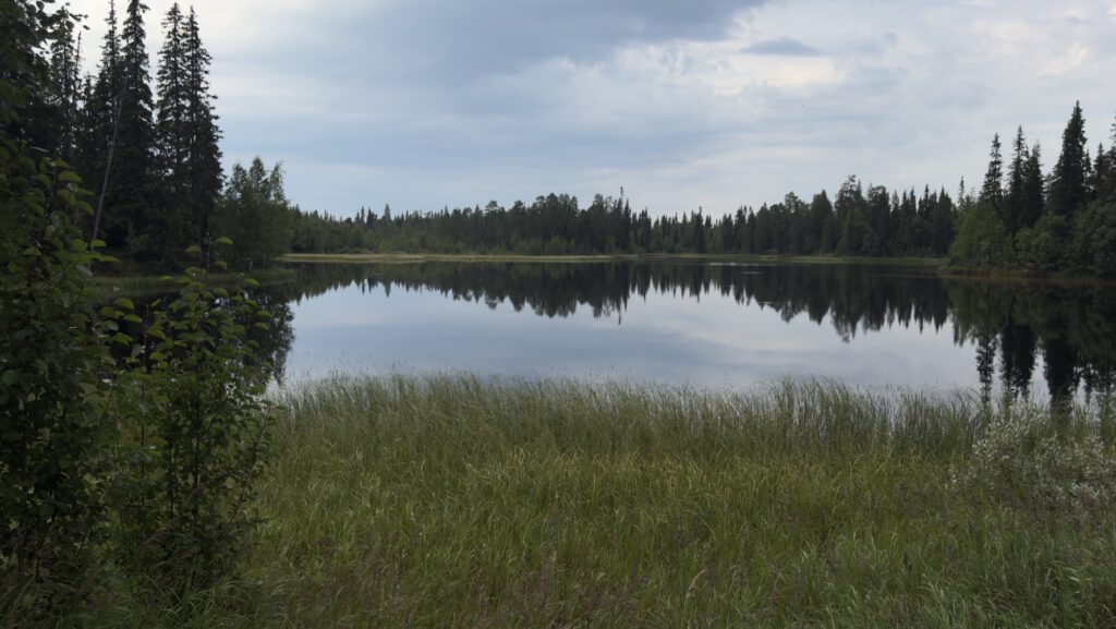 Quiet lake between the pine trees in Finland