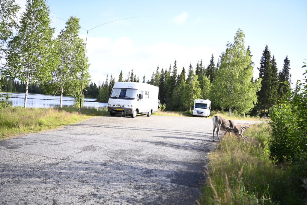 Mobile home parked near a lake, reindeer at the roadside