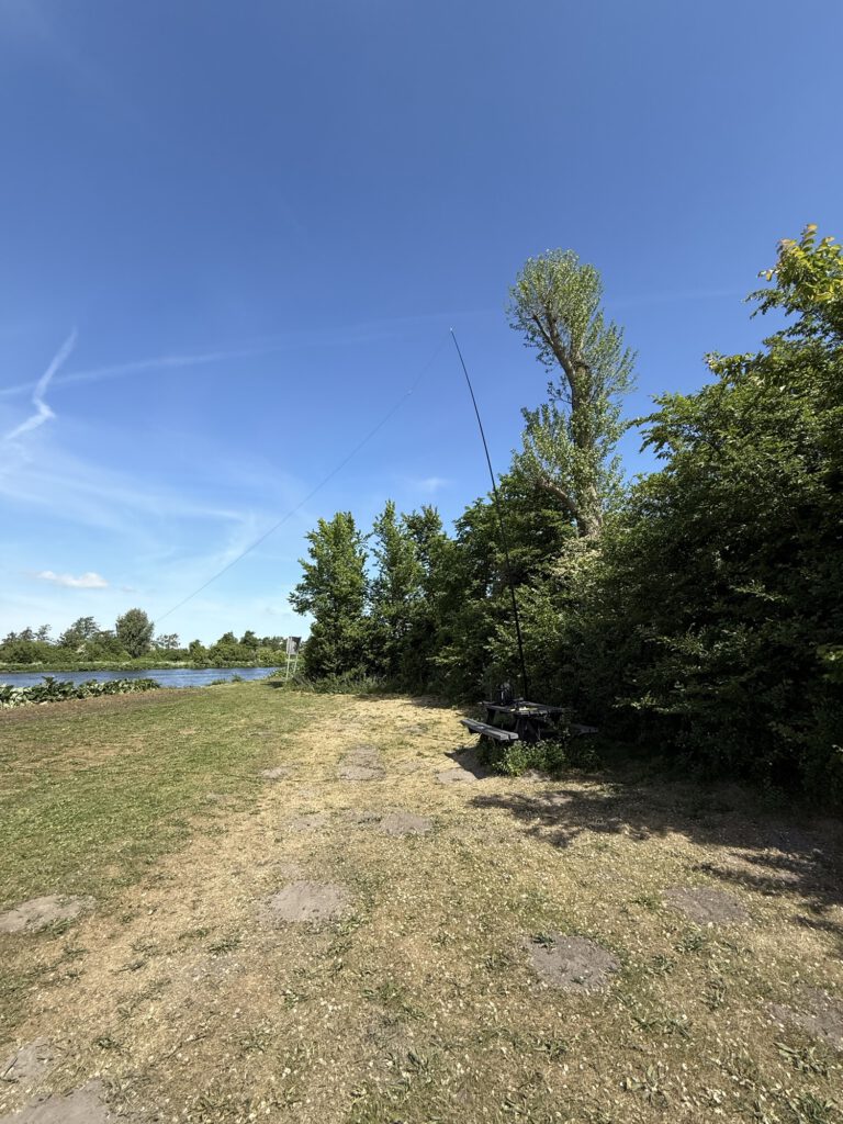 Sloping end-fed wire at the lakeside